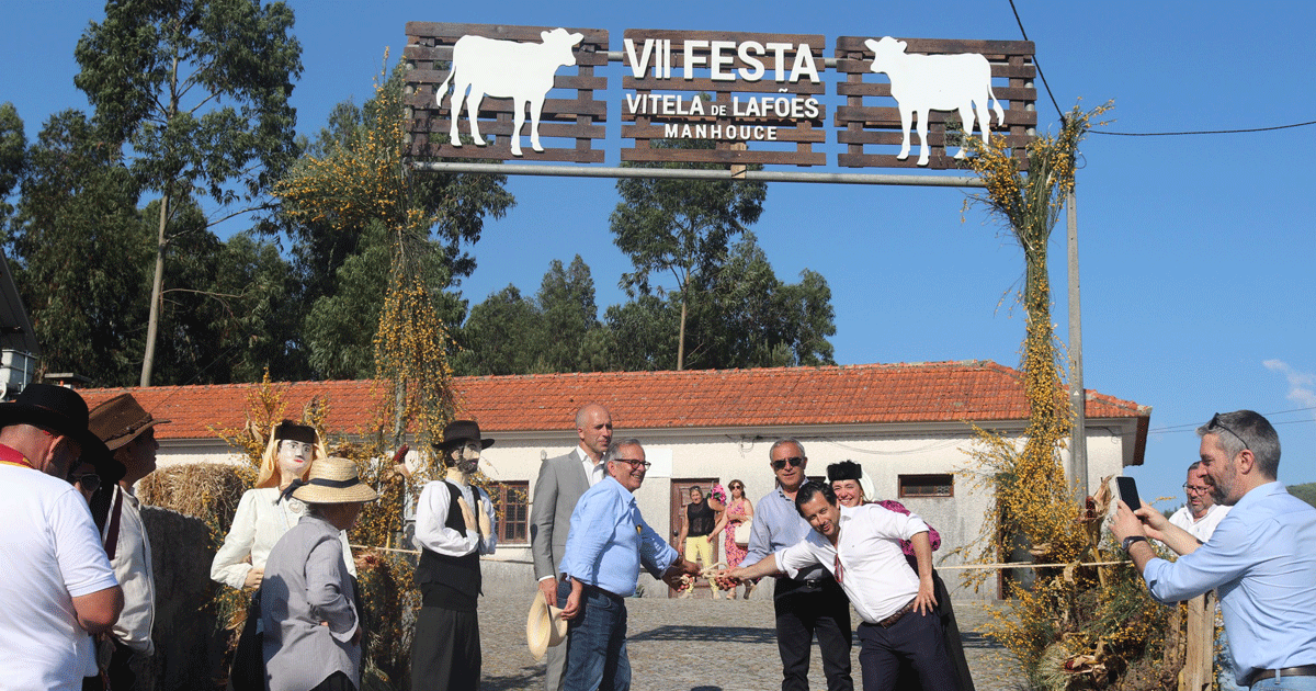 Read more about the article Balanço – Festa da Vitela 2022